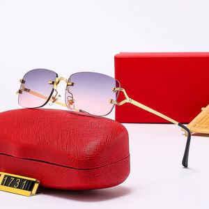 Fabrikbrillen, Carti-Brille, lila Linse, Markendesigner-Sonnenbrille, Scharnier, quadratischer Rahmen, Kopf, Metall, Trendbrille, Sportbrille, Panther, modisch, lässig, mit Box