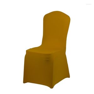 Sandalye, Muious 100pcs Gold Spandex Kapak Fabrikası Evrensel Düğün 4 Cep Toptan