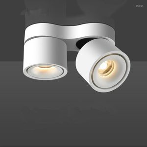 2x15W 2x20W Ayarlanabilir 30W 40W COB LED Downlight Sıstır Gömülü Tavan Işığı Ev Mağazaları için Dönebilir Halojen Lambası Yerini