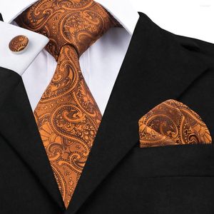 Бобовые галстуки Hi-Tie Paisley Set для мужчин Brown Jacquare Woven Silk Tie Pocket Square Cufflinks Corbatie Corbatac-1551