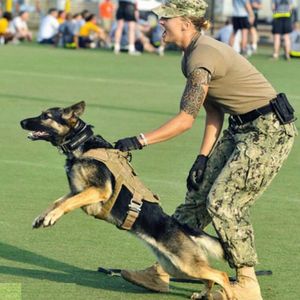 Köpek yakaları ayarlanabilir taktik kablo demeti eğitimi büyük orta orta köpekler için sap avlama yamaları ile askeri suya dayanıklı