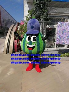 Blaues Wassermelonen-Maskottchen-Kostüm für Erwachsene, Zeichentrickfigur, Outfit, Anzug, erregt Beliebtheit bei Eltern-Kind-Aktivitäten zx1488