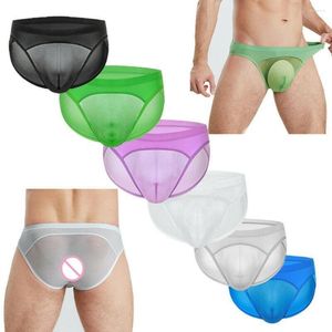 UNDUPTS 6 PCS Seksi Erkekler Kılavuzlar Buz İpek Şortları G-Strings T-BACK THACKS KAMELLER PANTITES SİTE YAPILI