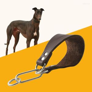 Köpek yaka deri yaka ekstra geniş yastıklı konik yumuşak evcil hayvan tazı saluki deerhound Lurcher Whippet Dachshund için