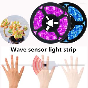 Grow Lights LED Light Strip Full Spectrum Wave Sensor Switch Lamp USB Phytolamp For Indoor Plant Hydroponic Greenhouse Flower Seeds