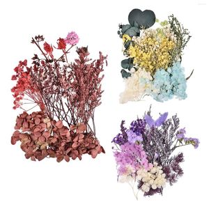 Dekoratif çiçekler doğal kurutulmuş reçine preslenmiş diy kuru otlar bitkiler dekor uygun kokulu mumlar ve tebrik kartları