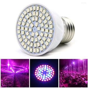 Grow Lights Led Light Lamp 5W E27 220V Полный спектр Phyto 50 Red 20 Blue Indoor Plant для растений Vegs Hydroponic System