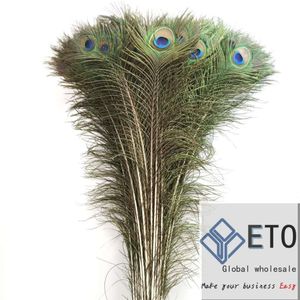 Authentic Peacock Tail Feathers 25-100cm | Assorted Sizes for Wedding & Home Decor, Crafts