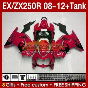 Kawasaki Ninja ZX-250 ZX250 EX250 R ZX250R 08 09 10 2011 2012 163no.181 Ex ZX 250R Ex250R ZX-250R 2009 2009 2010 11 12 Enjeksiyon Kapısı Kırmızı Şemalar