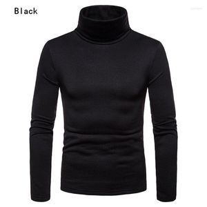 Erkek Sweaters İngiltere Moda Erkek Rulo Kaplumbağa Boyun Külot Örme Jumper Tops Sweater