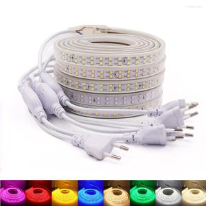 Şeritler 2835 LED şerit AB 220V 240V IP67 Su geçirmez yüksek parlaklık esnek açık mavi pembe kırmızı yeşil beyaz