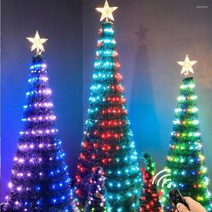 Дерево рождественских украшений со светодиодным светом для свадебной вечеринки SK6812 WS2812B IC Адресализируемый оптический волокно DIY