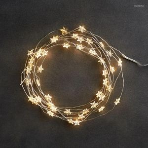 Dizeler 60 Yıldızlar Noel Işıkları Pil Çalışan Adaptör USB Perde Kapalı Yatak Odası LED String Düğün Dekorasyonu DIY