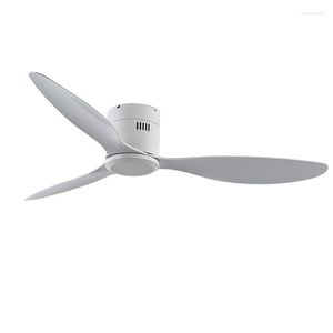 Modern 52inch Ceiling Fans, Air Movers, 30W DC Motor, Remote Control, ABS Iron, 3-Year Warranty, 220V Without Light