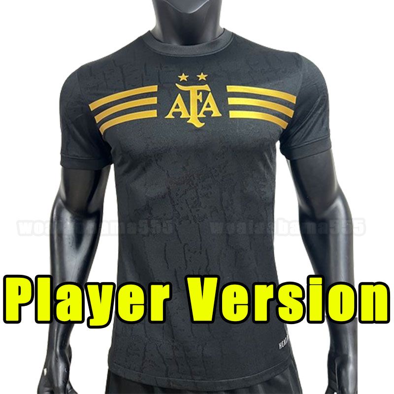 training player version