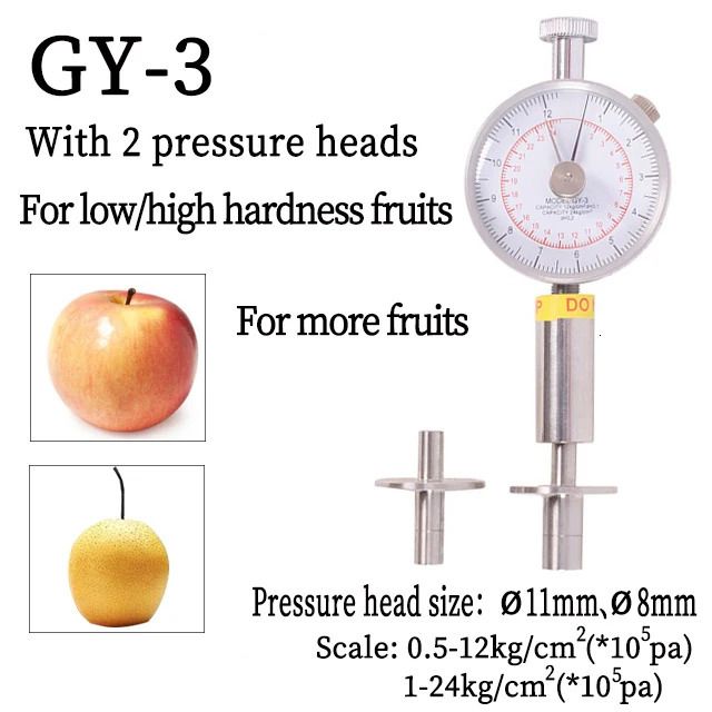 Gy-3