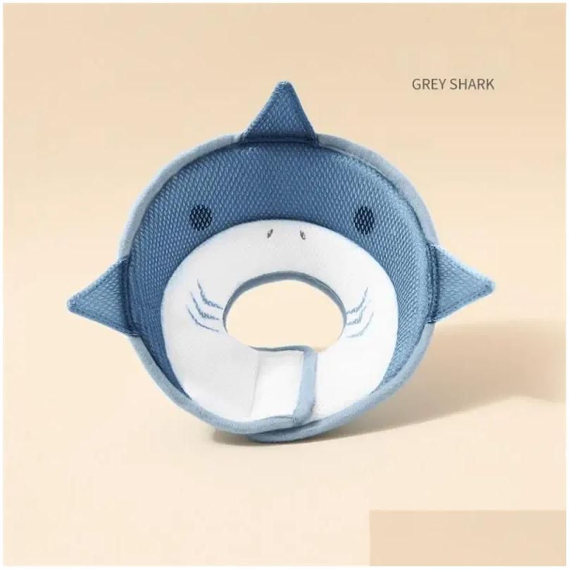 Chine requin gris