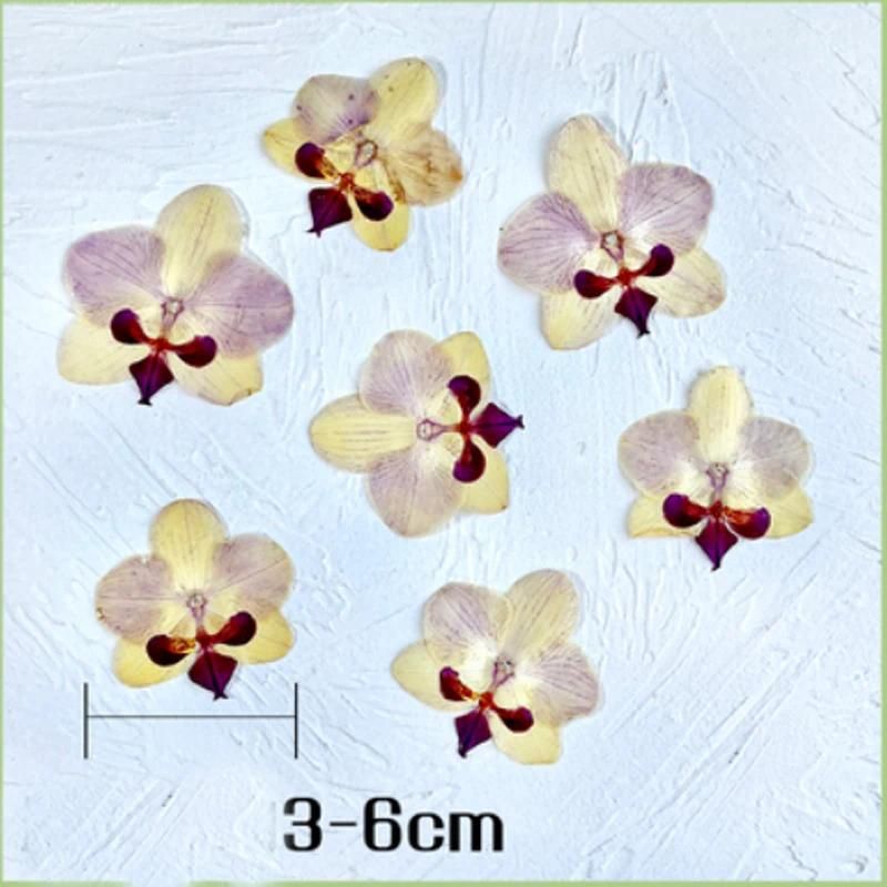 D 3-6 cm