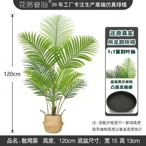 Palma areca A da 120 cm