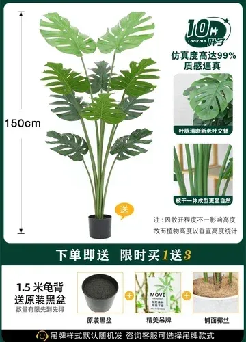 150cm Turtle tree