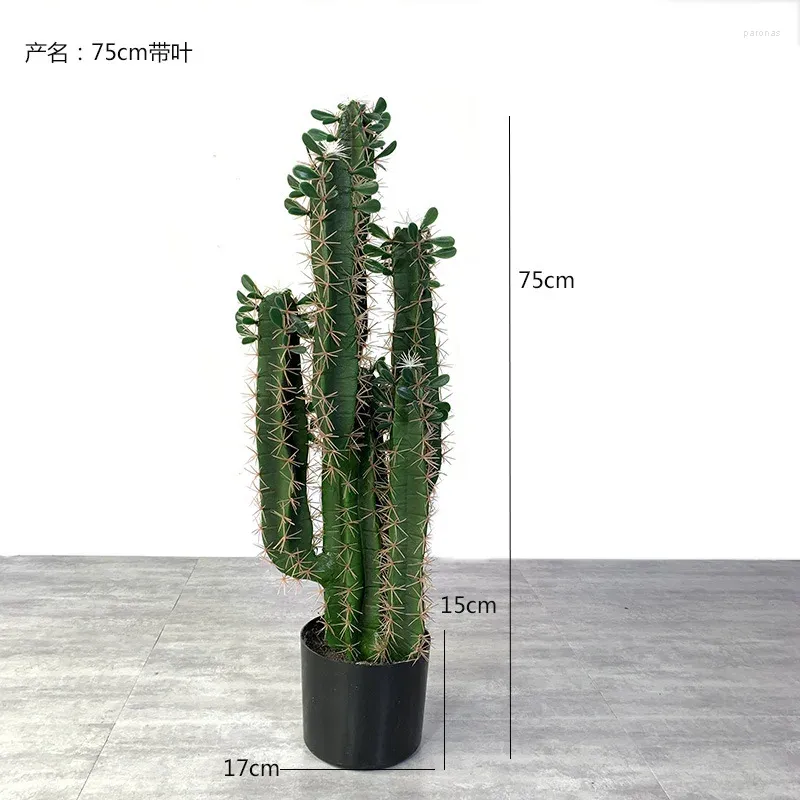 75 cm