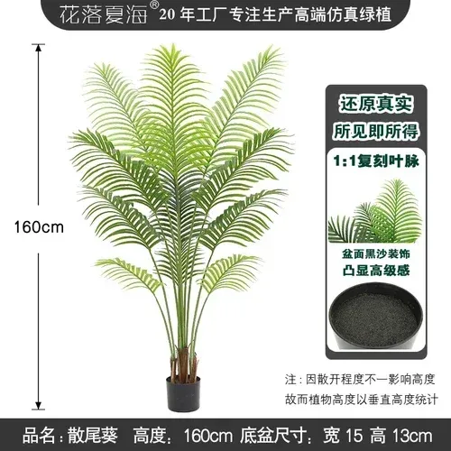 Palma areca da 160 cm