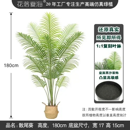 Palma areca A da 180 cm