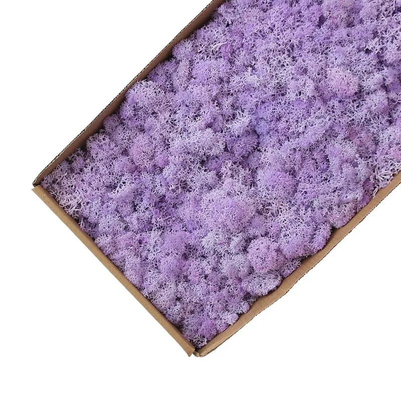 Little Purple-1000g