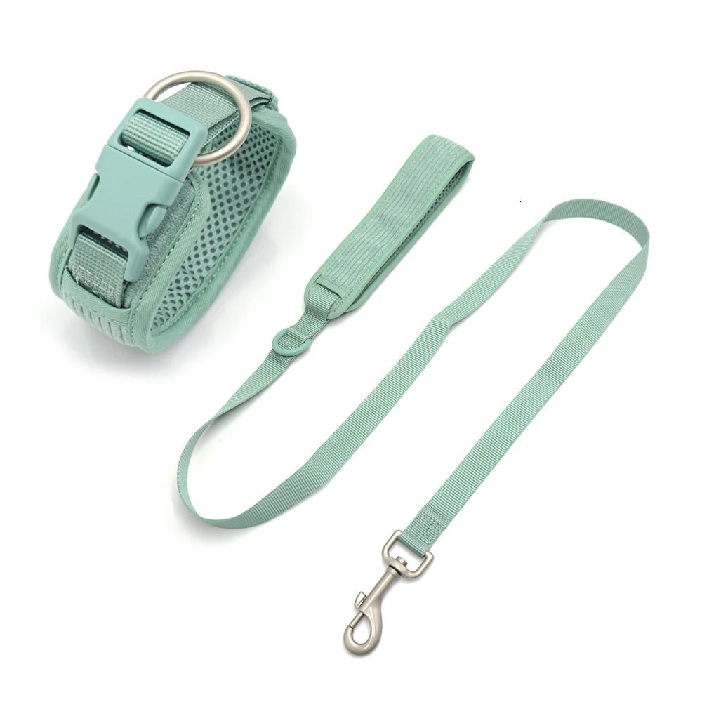 Collar Leash