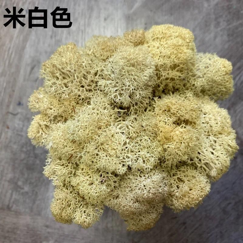 Beige(20G)