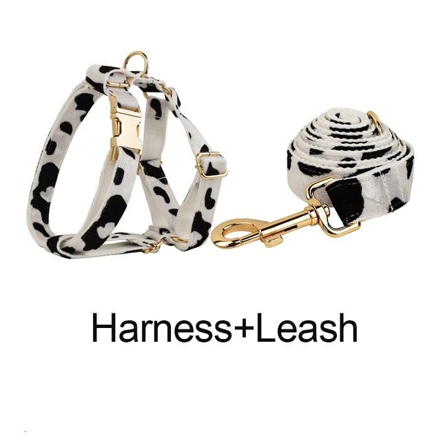 Harness Leash