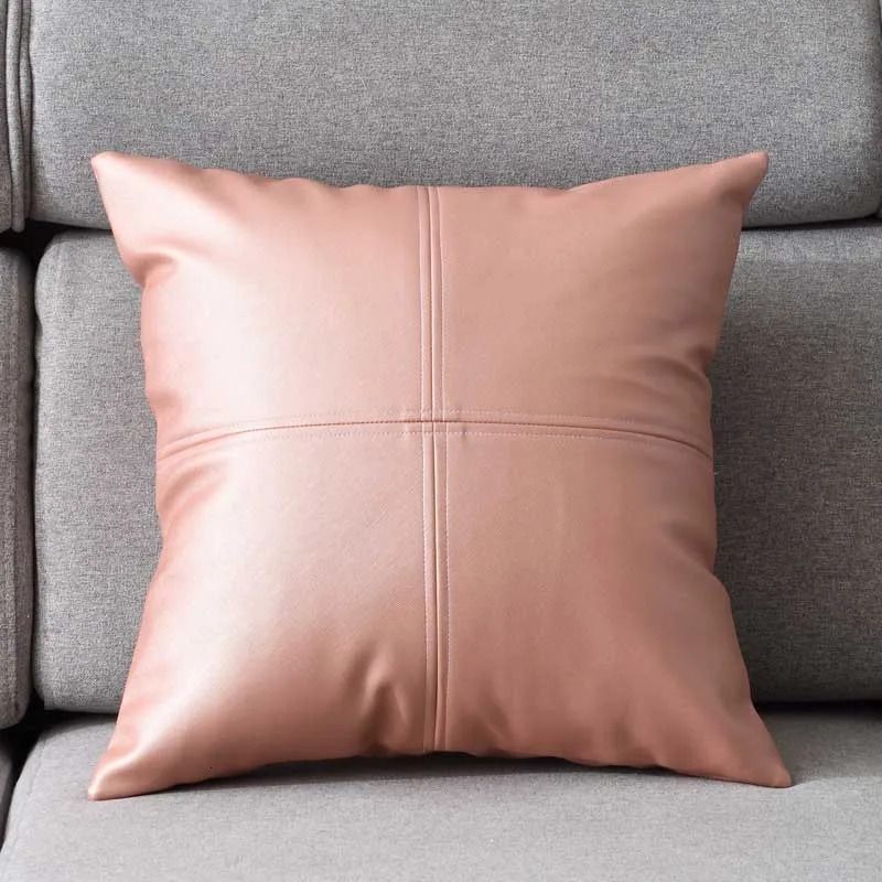 Pink-Cushion