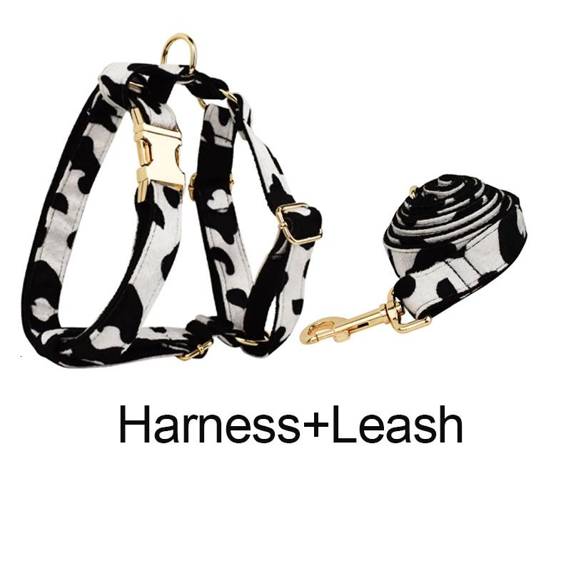 Harness Leash