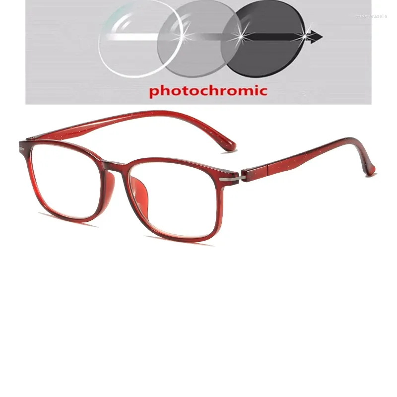 Photochromic Gray C2