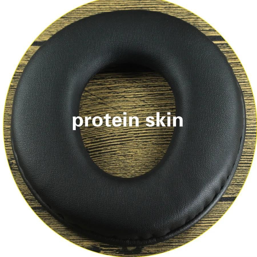 Protein