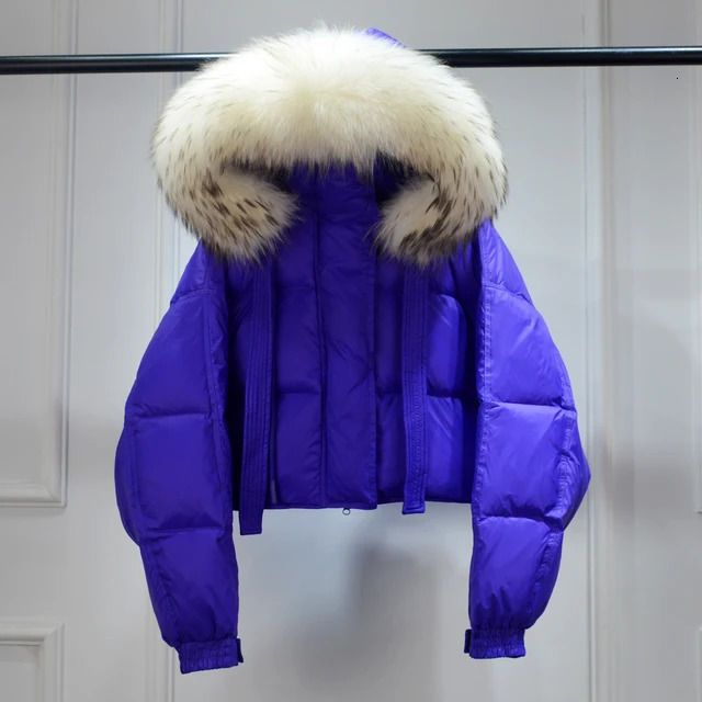 raccoon fur purple