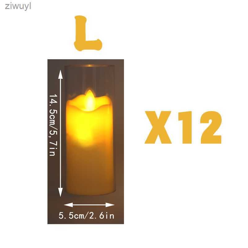 L x 12