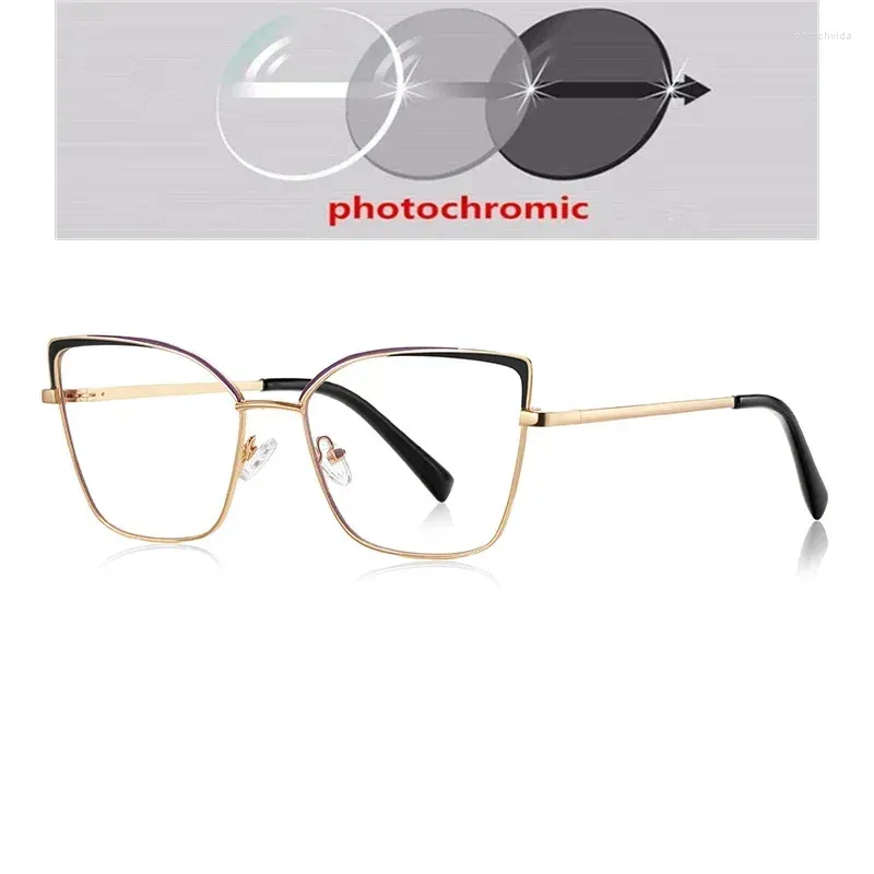 Photochromic Gray C1