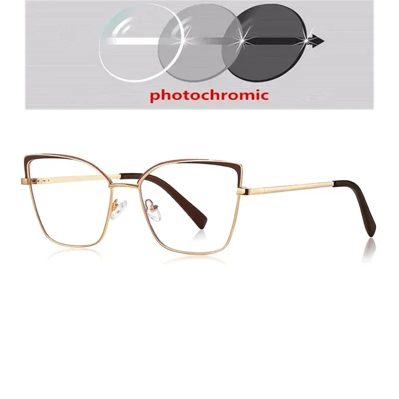 Photochromic Gray C2