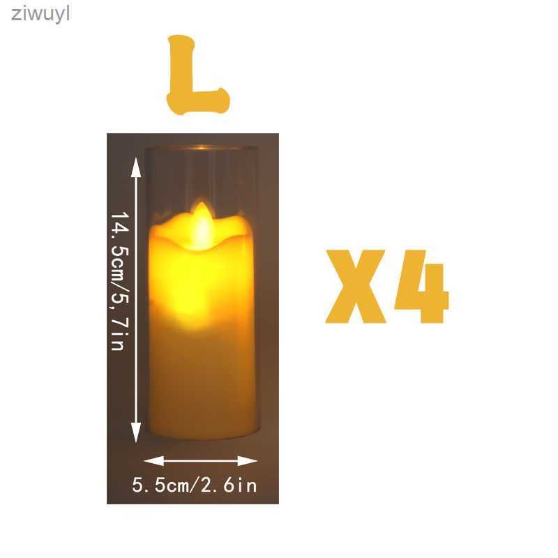 L x 4