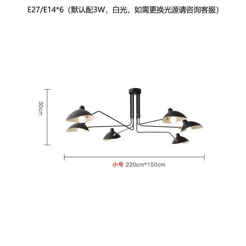 6頭が小さい黒