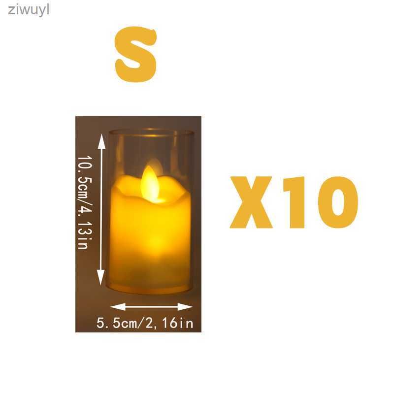 S x 10