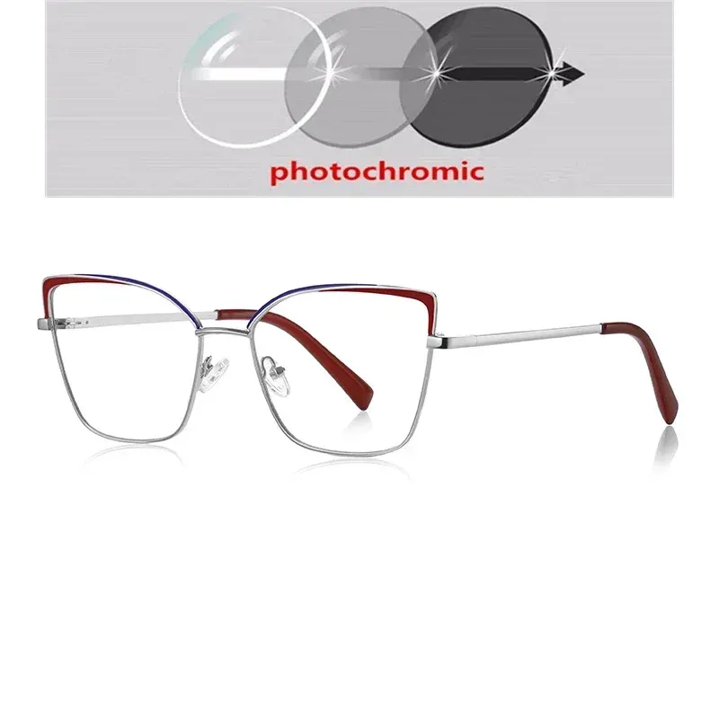 Photochromic Gray C4