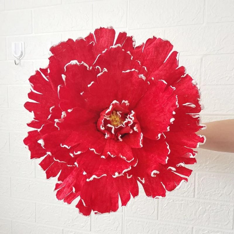 Red60cm