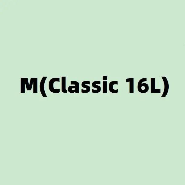 m 16l classico