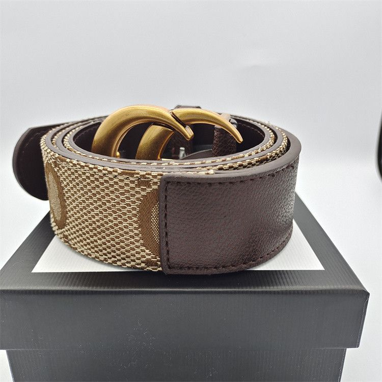 Brown+Gold buckle