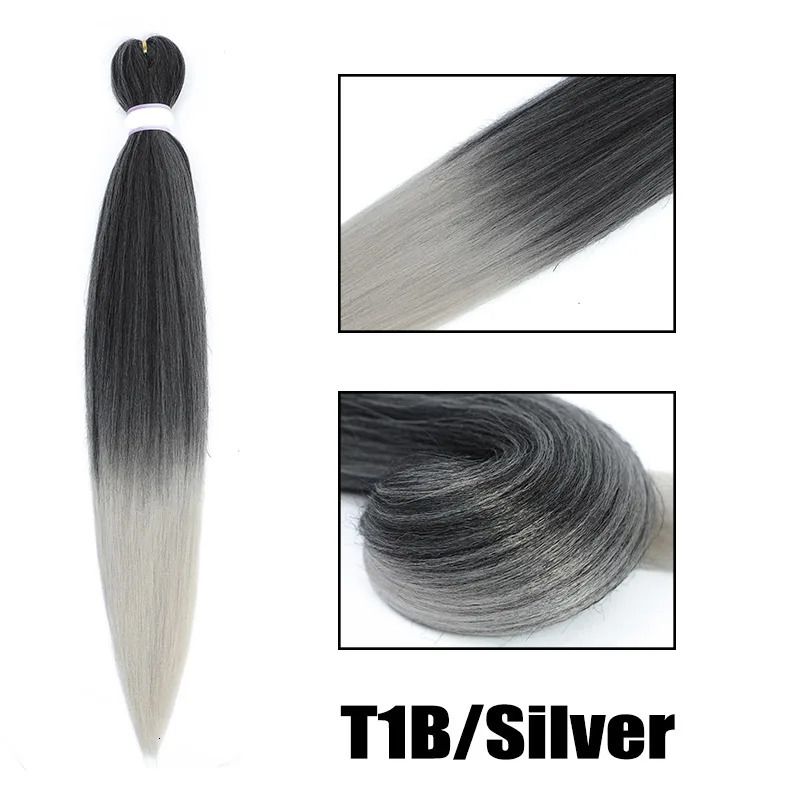 t1b-zilver