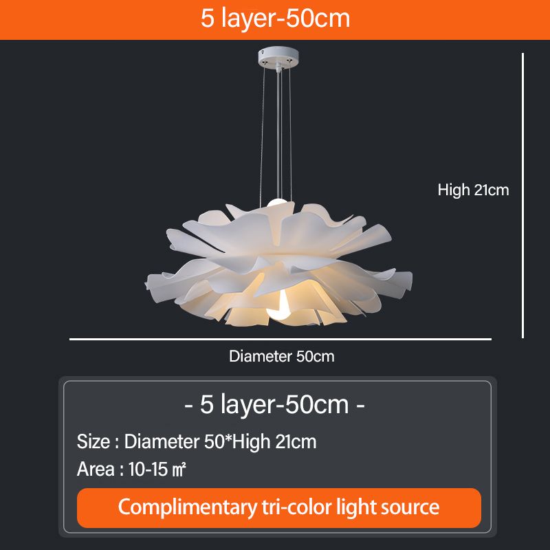 D50cm