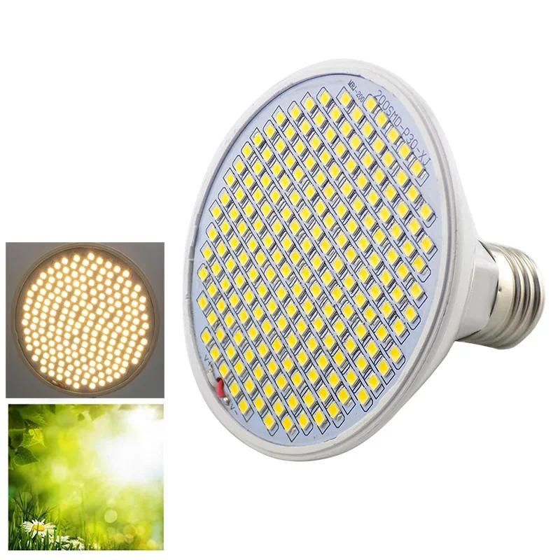 200 LED Sunlight