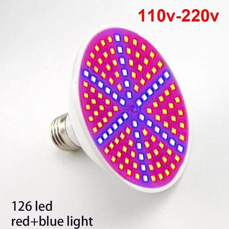 126LED